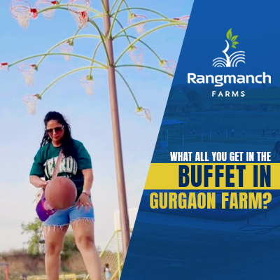 what-all-you-get-in-the-buffet-in-gurgaon-farm