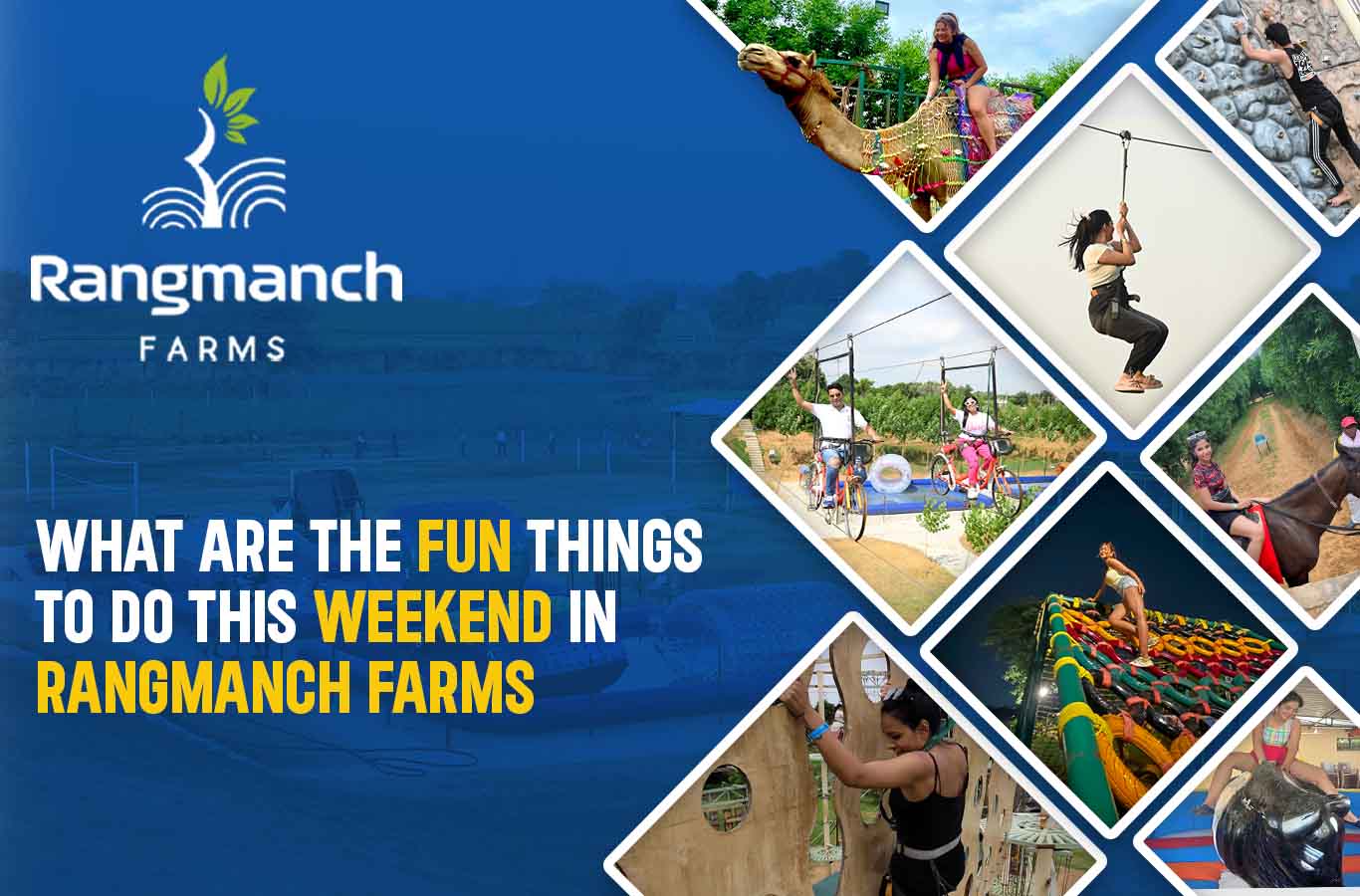 what-are-the-fun-things-to-do-this-weekend-in-rangmanch-farms