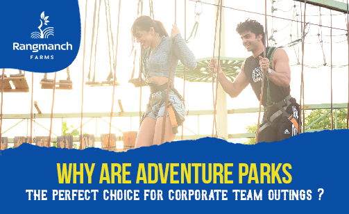 why-are-adventure-parks-the-perfect-choice-for-corporate-team-outings