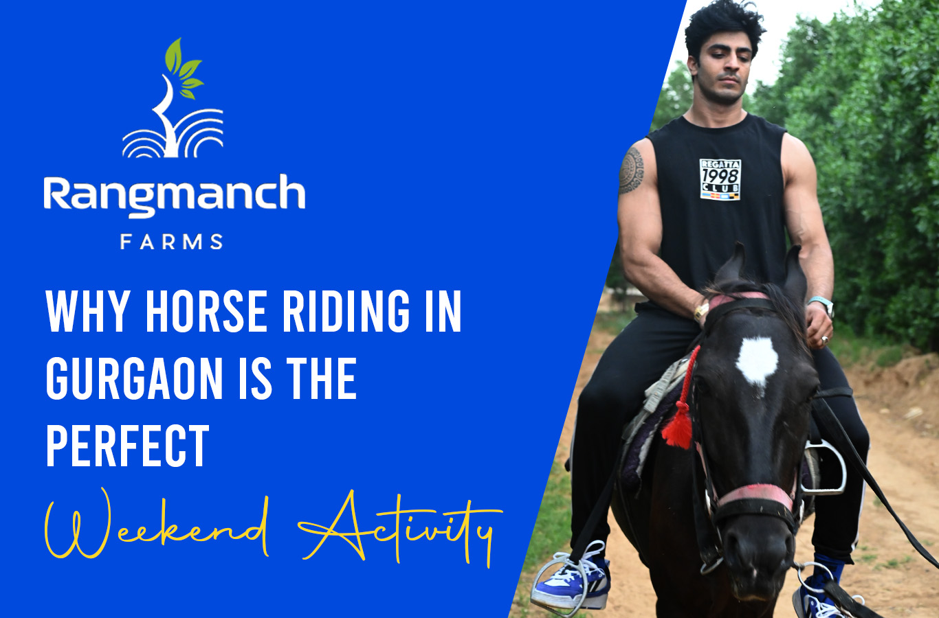 why-horse-riding-in-gurgaon-is-the-perfect-weekend-activity